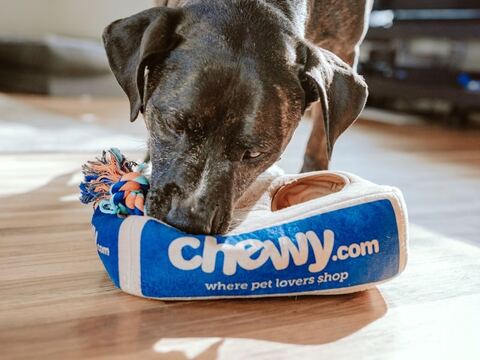 Automatic Pet Feeder